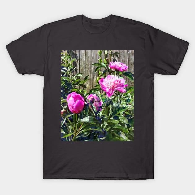 Pink Peonies By Stockade Fence T-Shirt by SusanSavad